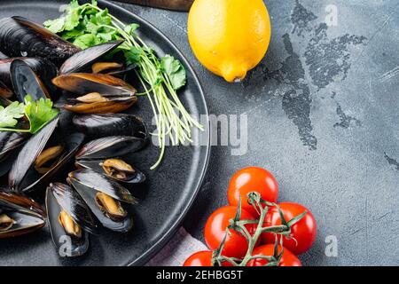 Klassische traditionelle gedünstete Muscheln in einem Weißwein in Schale, auf Teller, auf grauem Hintergrund, mit Copyspace und Platz für Text Stockfoto