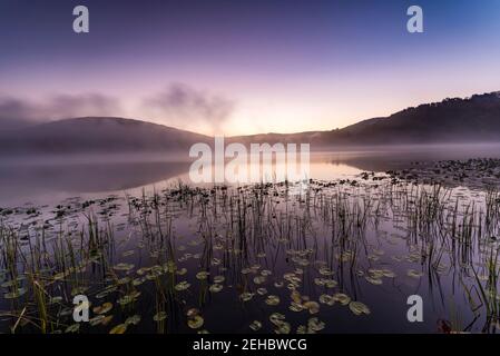 Dawn am Red House Lake, Allegany State Park, Cattaraugus County, New York Stockfoto