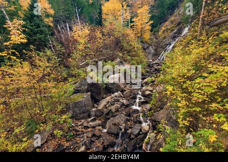 Kleiner Bach und Wasserfall (ohne Namen) an der Flanke des Cascade Mountain im Herbst, Adirondack Mountains, Essex County, New York Stockfoto