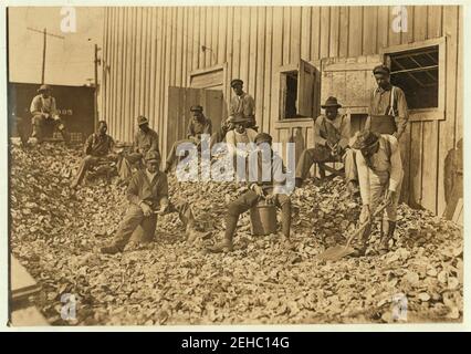 Oyster shuckers in Apalachicola, Fla. Diese Arbeit wird durch viele Jungen in der Hochsaison durchgeführt. Dies ist ein stumpfes Jahr also nur ein paar Jugendlichen waren im Beweis. Stockfoto