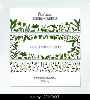 Set von handgezeichneten Micro Greens horizontale Banner. Gesundes vegetarisches und veganes Food Design für Firmenlogo, Print, Packungen. Vektorgrafik Stock Vektor