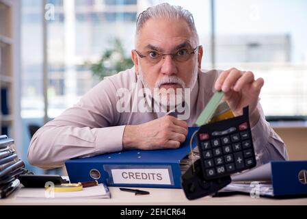 Erfahrener männlicher Buchhalter im Budgetplanungskonzept Stockfoto