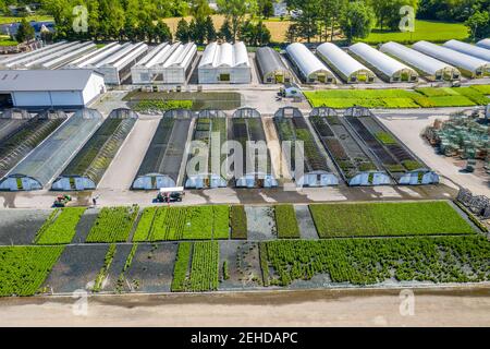 Luftaufnahme von kommerzieller Baumschule mit Gewächshäusern in einer Reihe, Glen Arm, MD Stockfoto