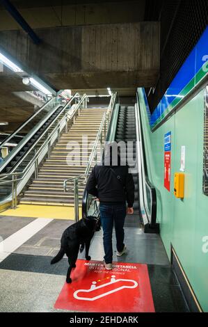 Blinder Mann, der mit Blindenhund auf der Rolltreppe läuft Stockfoto