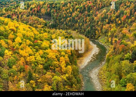 Great Bend, Genesee River und Gorge im Letchworth State Park, Wyoming County, New York Stockfoto