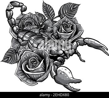 Sternzeichen Skorpion. Detailreicher realistischer skorpion in einem dekorativen Rosenrahmen. Skizze auf weißem Hintergrund isoliert. Konzeptkunst für Tattoo-Design, ho Stock Vektor