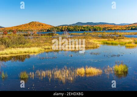 Simon Pond im Herbst, Adirondack Mountains, Franklin County, New York Stockfoto