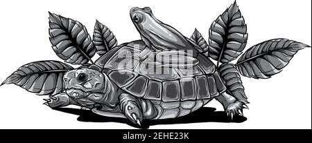 Vektorgrafik Frosch und Schildkröte Stock Vektor
