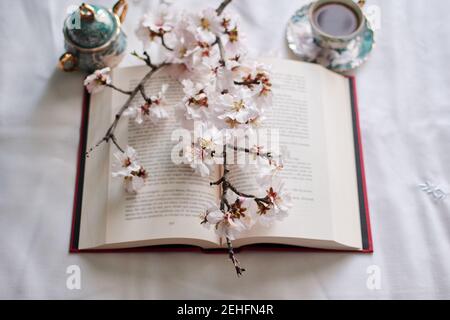Stillleben eines Buches, Kaffeetassen und Mandelblüten. Lesekonzept