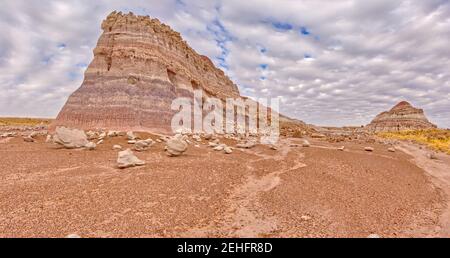 Der östliche Rand des Clam Bed Mesa entlang des Red Basin Trail im Petrified Forest National Park Arizona. Die Felsbrocken auf dieser mesa sind mit c gefüllt Stockfoto