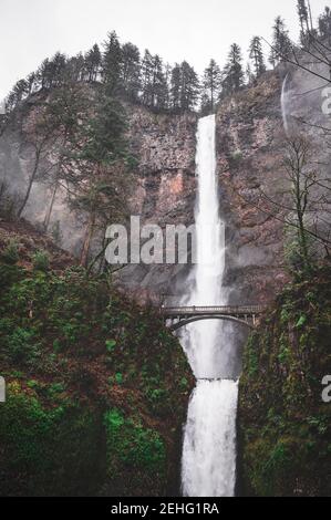 Oregon Wald bei einem Regensturm Stockfoto