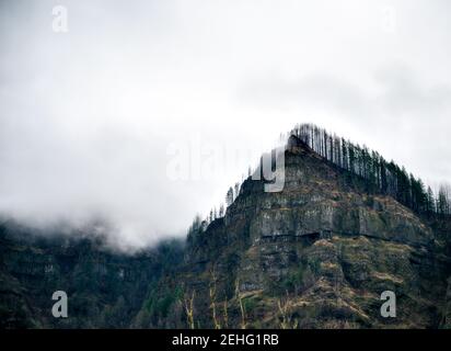 Oregon Wald bei einem Regensturm Stockfoto