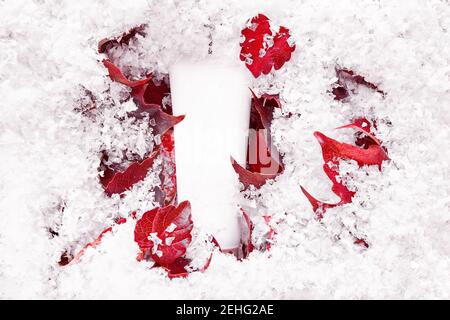 Beauty Spa medizinische Hautpflege, Lotion Produkt auf roten Blättern. Schlauch im Modell. Kosmetische Verpackung Mockup unter ersten Schnee Hintergrund. Feuchtigkeitscreme, Shampoo Stockfoto