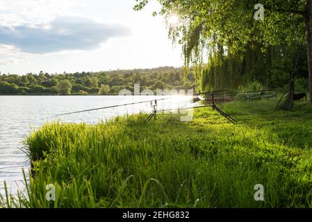 Karpfenangeln Sitzung am Lake.Carp Angeln landschaftlich schöne Landschaft mit Blick auf den See bei Dawn.Angelabenteuer, Karpfenfischen. Stockfoto