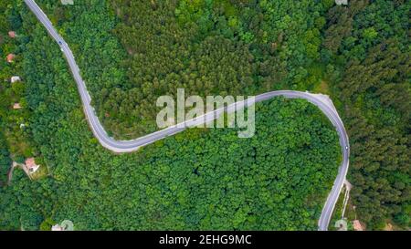 Luftaufnahme der kurvenreichen Straße durch die dichten Wälder auf dem hohen Berg in Bulgarien. Stockfoto