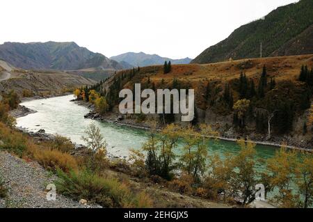 Die Biegung eines großen malerischen Fluss fließt in das Pferd, umgeben von hohen Bergen und Nadelwald. Katun, Altai, Sibirien, Russland. Stockfoto