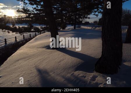 Das Leben in einer kalten Stadt - Winterlandschaften von Ottawa - wunderschöner Sonnenuntergang beleuchtet den Schnee unter einigen Kiefern. Ontario, Kanada. Stockfoto