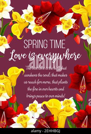 Frühling Blumen und Wunsch Grußkarte. Vector Love is in the Air Zitat Poster von floralem Design mit blühenden Hibiskusrosen, Callas und Tulpen Flo Stock Vektor