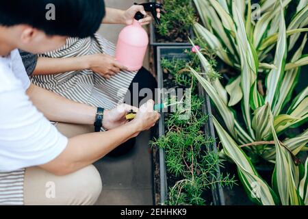 Junges Paar entspannen im Garten. Sie pflegen Pflanze und Blume. Stockfoto