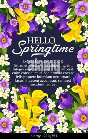 Hallo Frühling wünscht Plakat von Narzissen, Tulpen und Krokussen Bouquet und saisonalen Frühling Zitate. Vector floralen Design der Frühling Schneeglöckchen, cro Stock Vektor