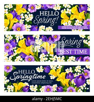 Hallo Frühling Blumengrüße Banner für Frühling saisonalen Urlaub Wünsche von Calla Lilie und Orchidee oder Krokus Blumen. Vektor-Design von Frühling bloomi Stock Vektor