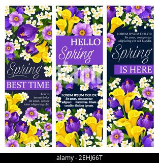 Happy Spring beste Zeit wünscht Banner von Narzissen, Tulpen und Krokussen Bouquet. Vector floral Design und Frühling Zitate von blühenden Schneeglöckchen, cro Stock Vektor