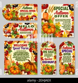 Herbstverkauf Rabatt-Angebot oder Bauernhof Marktpreis off Promo-Tag und Poster für Shop. Kürbis oder Eberesche, Pilz oder Ahornblatt und Eichel, Tanne p Stock Vektor