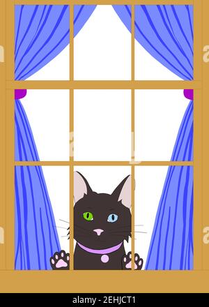 Illustration Zeichnung einer schwarzen Cartoon-Katze mit Heterochromie, die durch ein braunes Holzfenster mit Pfoten auf dem Glas ihren Höhepunkt erreicht. Blick auf Zuschauer longi Stockfoto