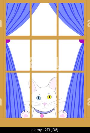 Illustration Zeichnung einer weißen Cartoon-Katze mit Heterochromie, die durch ein braunes Holzfenster mit Pfoten auf dem Glas aufragt. Blick auf Zuschauer longi Stockfoto