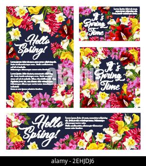 Hallo Frühling Blumenplakate und Grußkarten von blühenden Frühlingsblumen. Vektor-Banner mit saisonalen Zitaten und blühenden Lilie oder Narzissen Bloss Stock Vektor