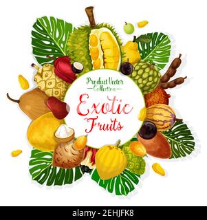 Poster mit exotischen tropischen Früchten. Durian, Pomelo und Quitte, Cherimoya, Tamarinde und Apfel Cashew, Pepino, jabuticaba und gandaria, Ackee, cocona und Sal Stock Vektor