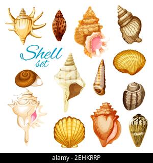 Seashell, Meerestiere und Meeresstrand Mollusk. Jakobsmuschel, Schnecke und Muschel, Herzmuschel, Turmschale, Königskrone und Chiton. Isolierte Cartoon-Objekte. Exotisch Stock Vektor