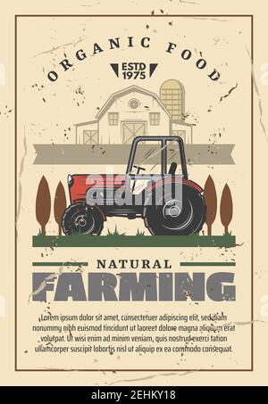 Landwirtschaft und natürliche Landwirtschaft. Leistungsstarker Motortraktor mit großen Rädern, ländliche Landschaft, Landhaus und Bäume Silhouetten. Bio-Lebensmittel-Produkt Stock Vektor