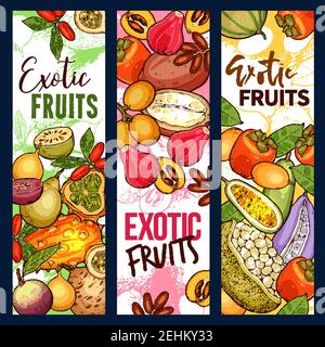 Exotische tropische Früchte skizzieren Banner. Vektor-Design von Kiwano, Bael Birne oder Stern und Mammee Apfel und loquat, persimmon und champakka oder akebia Frucht Stock Vektor