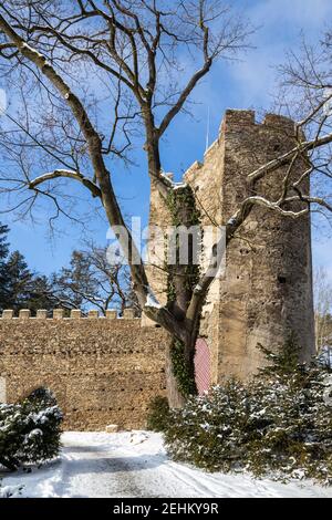 Pseudogoticky zamek z 1547, Zruc nad Sázavou, Středočeský kraj, Ceska Republika/neo-gotische Burg aus 1547, Stadt Zruc nad Sázavou, Mittelböhmen, Stockfoto