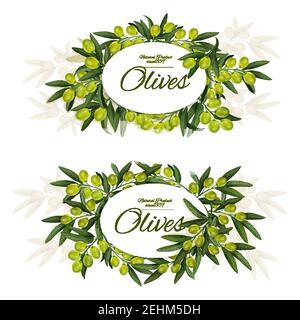 Grüne Oliven Büschel Blätter und Früchte. Vector Oliven für Öl und Gerichte, extra vergine Produkt oder italienische oder spanische Küche in runden Kranz. Essbar nat Stock Vektor