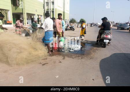 Chennai (Madras) Fischer verkaufen Fisch auf der Straßenseite in der Nähe Chennai Marina Strand Stockfoto