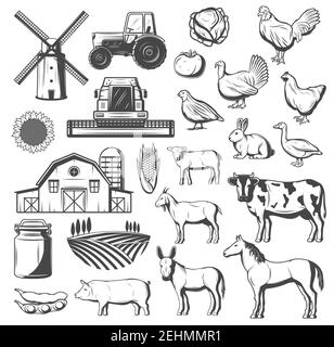 Landwirtschaft, Landwirtschaft und Vieh Ikonen. Vector Traktor, Windmühle oder Getreidescheune und Ackerfeld, Nutztiere Kuh und Pferd, Schwein und Huhn, türkei, d Stock Vektor