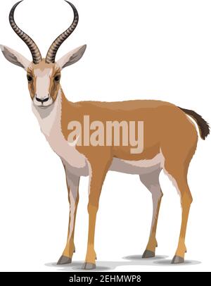 Goitreed Gazelle tierischen Charakter. Vektor isolierte Cartoon afrikanische wilde schwarz-tailed Gazelle Arten mit langen Hörnern. Zoo, Zoologie oder Jagd auf offener See Stock Vektor