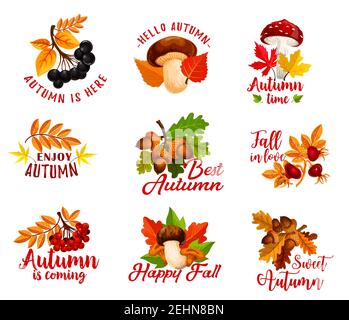 Hallo Herbstzeit Jahreszeit Herbstferien Designs für Grußkarte. Vektor saisonale Wunsch Zitate der Herbst kommt hier von Eichel, Amanita und Chant Stock Vektor