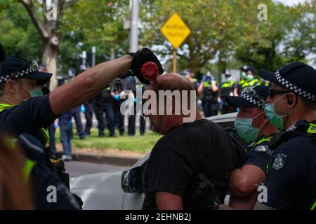 Melbourne, Australien. Februar 2021, 20th. Die Polizei neigt zu einem Mann, den sie früher Pfeffer gespritzt. Februar 20, 2021. Melbourne, Australien. Quelle: Jay Kogler/Alamy Live News Stockfoto