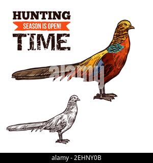 Fasanenvogel bunte Vektor Skizze, Jäger Gesellschaft oder Jagd Club Design. Vektor isoliert wilden Wald Fasan, Vogeljagd Abenteuer Stock Vektor