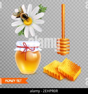 Honig realistische Set auf transparentem Hintergrund mit zwei Stück Wabenwaben Holzdipper Stick Glas von Honig und Gänseblümchen Blume mit sitzender Biene Stock Vektor