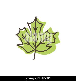 Ahornblatt. Handgezeichnetes grünes Blatt Doodle Vektor-Symbol auf weißem Hintergrund isoliert Stock Vektor
