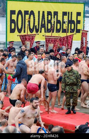 BELGRAD, SERBIEN - 19. JANUAR 2019: Orthodoxe Christen schwimmen im eiskalten Wasser beim Rennen um das Heilige Kreuz während der Feier Stockfoto