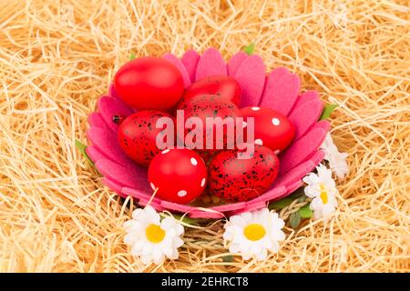 Ostern rote Eier im Korb und Blumen auf Stroh Hintergrund. Stockfoto