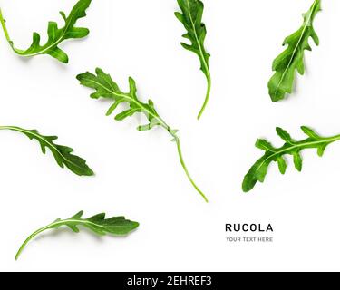 Rucola Sammlung und kreative Layout isoliert auf weißem Hintergrund. Gesunde Ernährung und Diät-Konzept. Rucola Salat grüne Blätter Zusammensetzung ein Stockfoto
