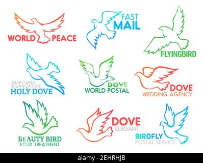 Dove Bird Icon Set für Business Company Design. Vektor-Linie Symbol der Taube Taube fliegen mit ausgebreiteten Flügeln für Post-Delivery, Hochzeit Agentur oder Schönheit Stock Vektor