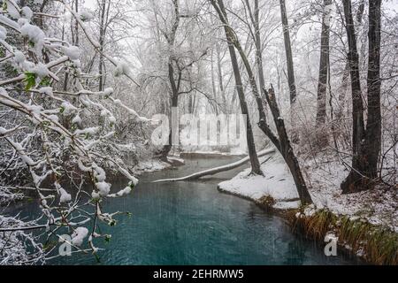 Heißer Schwefel entspringt in einer verschneiten Landschaft. Quellen des Lavino, Maiella Nationalpark, Abruzzen Stockfoto