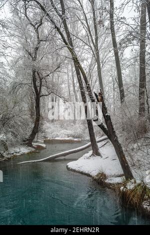 Heißer Schwefel entspringt in einer verschneiten Landschaft. Quellen des Lavino, Maiella Nationalpark, Abruzzen Stockfoto